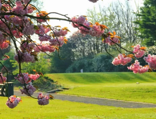Edenderry Golf Club