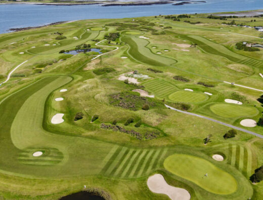 The Hawthorn By Galway Bay