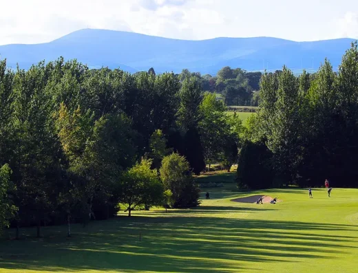 Tree-lined fairway at Enniscorthy Golf Club, Co. Wexford